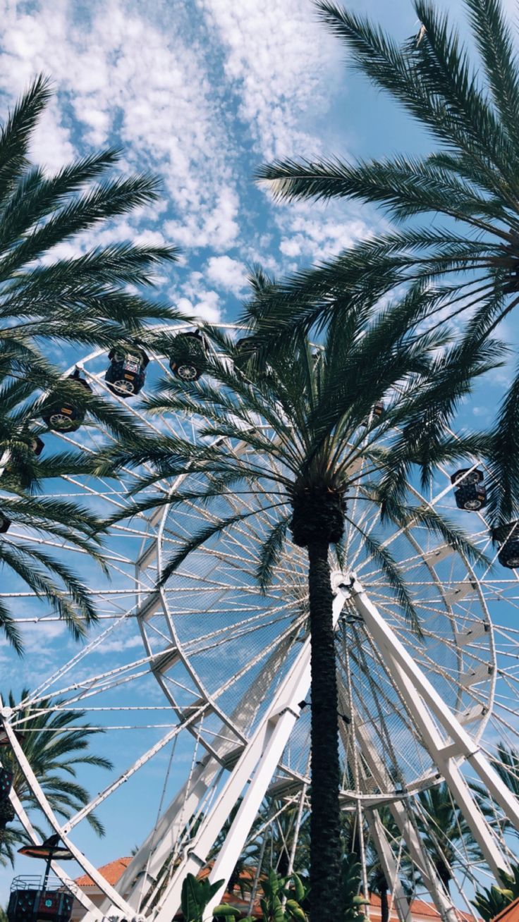 Irvine Wallpapers Top Free Irvine Backgrounds WallpaperAccess