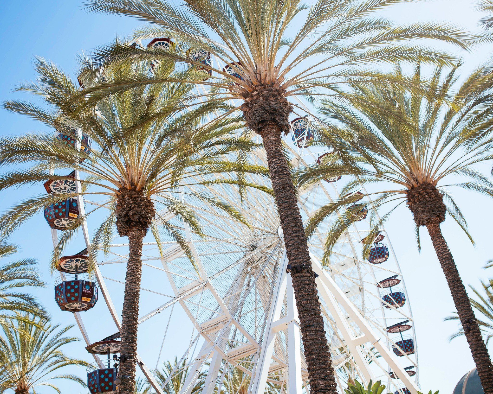2048x1638 AYM Irvine