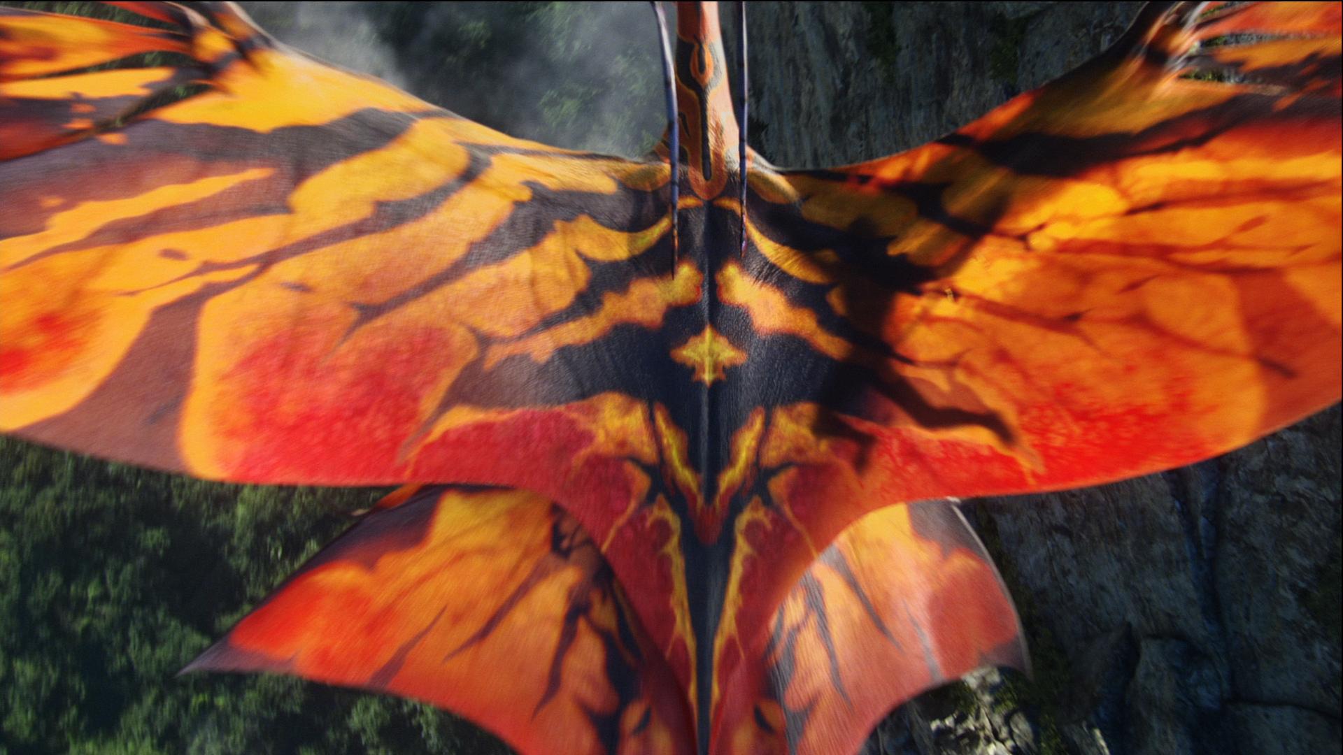 Toruk Makto Wallpapers - Top Free Toruk Makto Backgrounds - WallpaperAccess