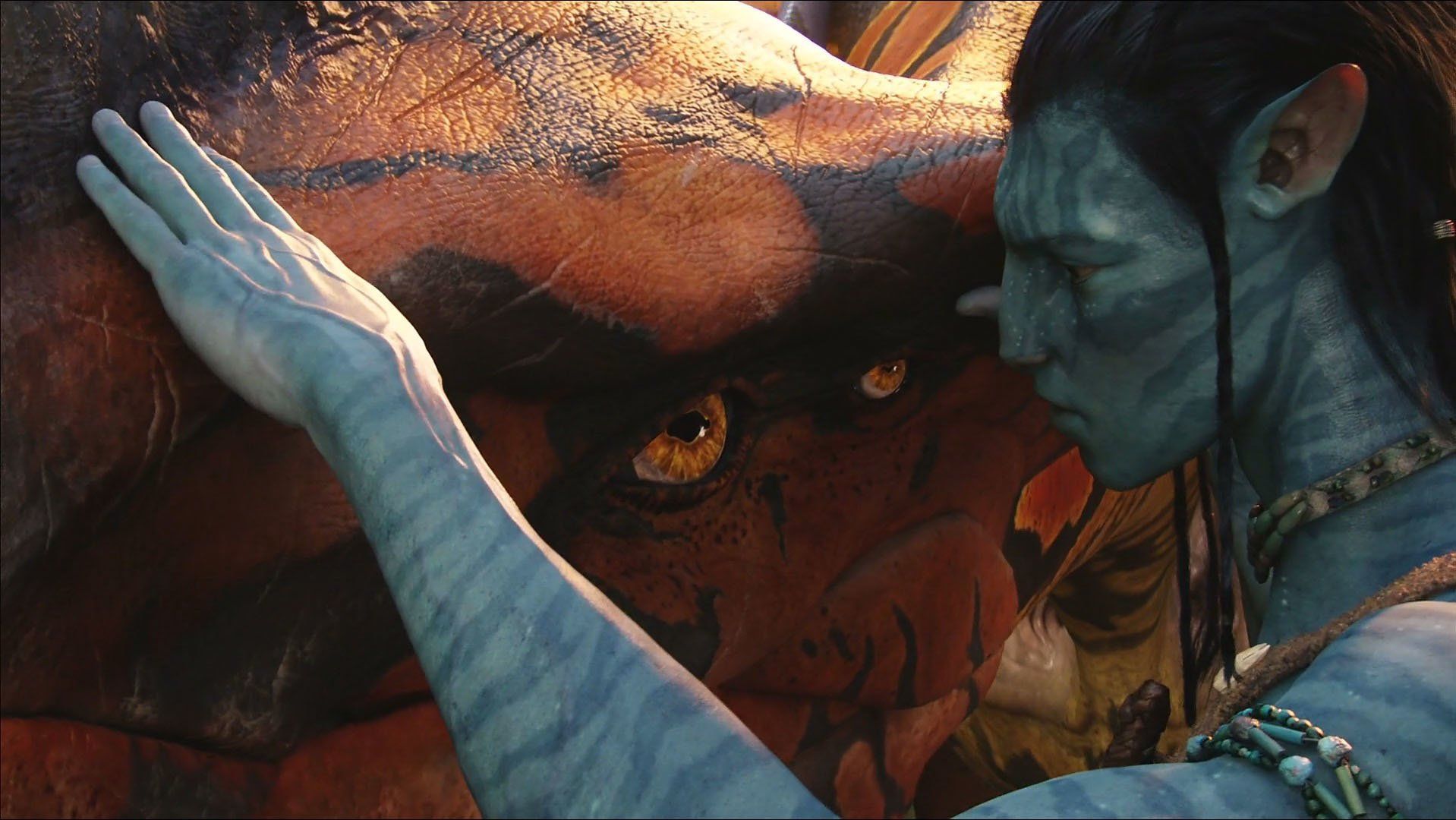 1918x1080 Movie Avatar Wallpaper