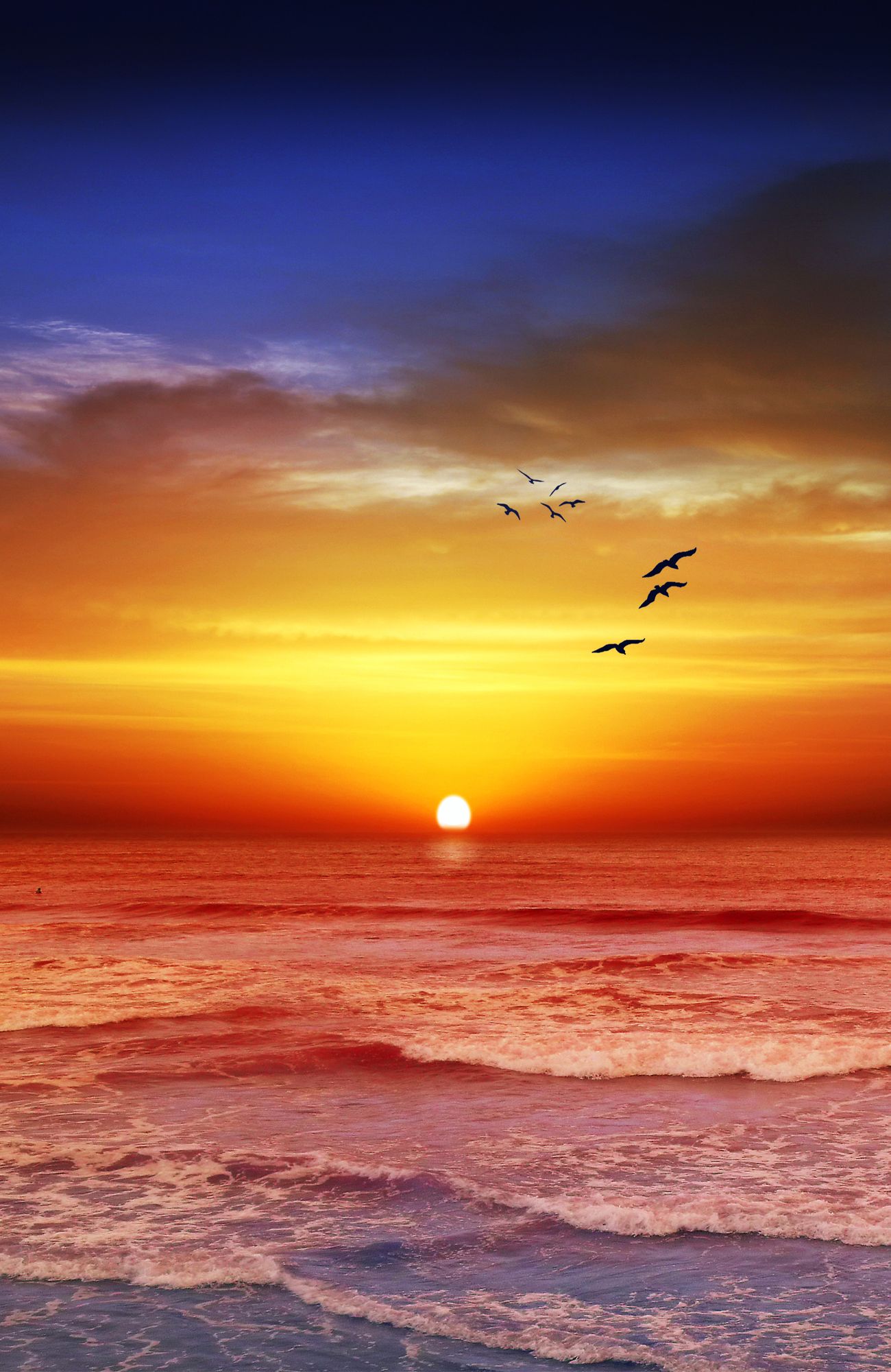1300x2000 Sunrise Phone Wallpaper