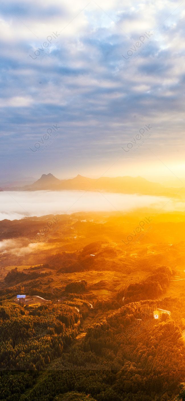 650x1407 Sunrise Mobile Phone Wallpaper Image Free Download