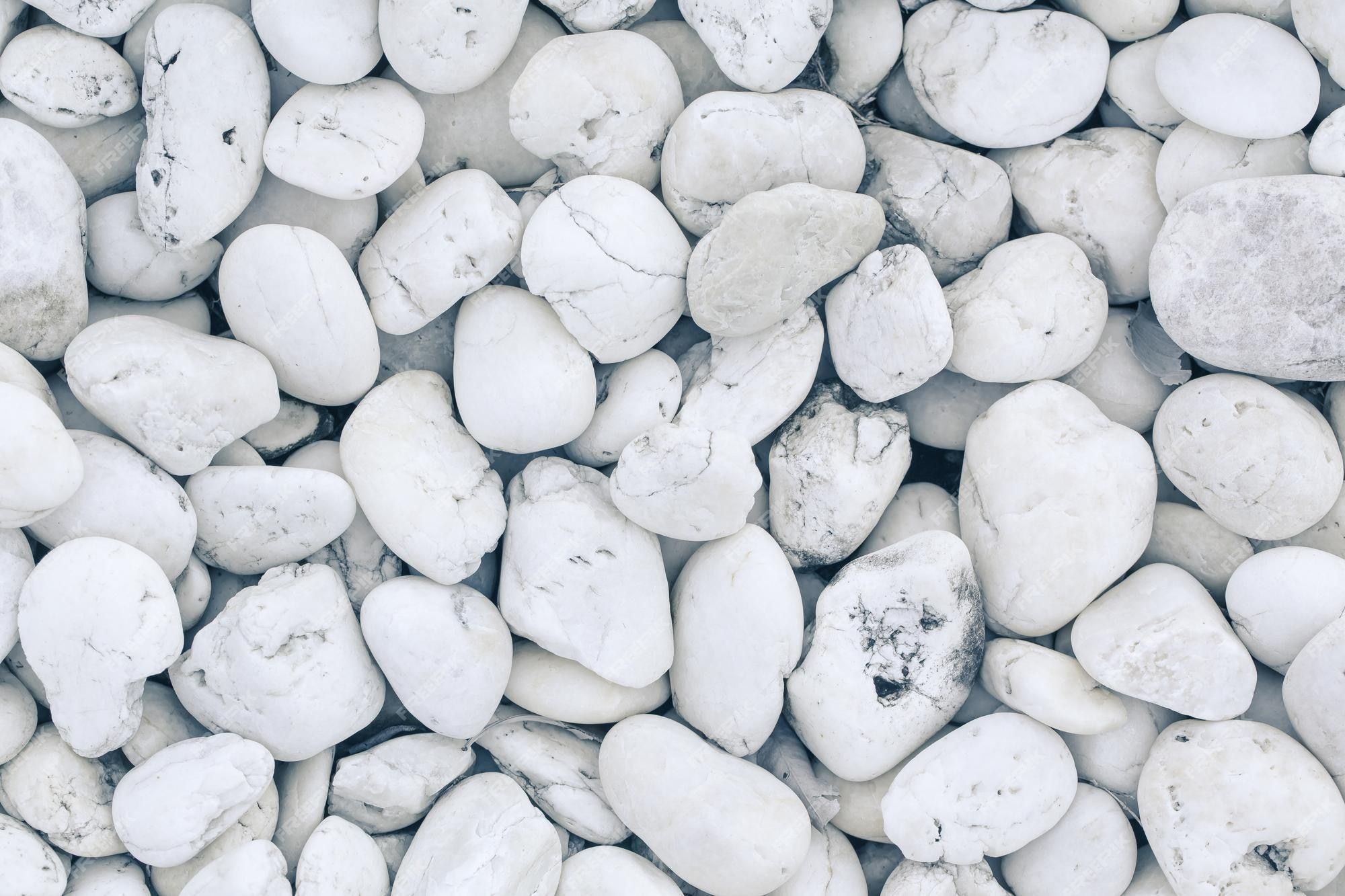 2000x1333 Premium Photo. Abstract white stone floor for background or skin wall tile wallpaper picture backdrop texture website design sea stones natural for decoration tree or garden plant