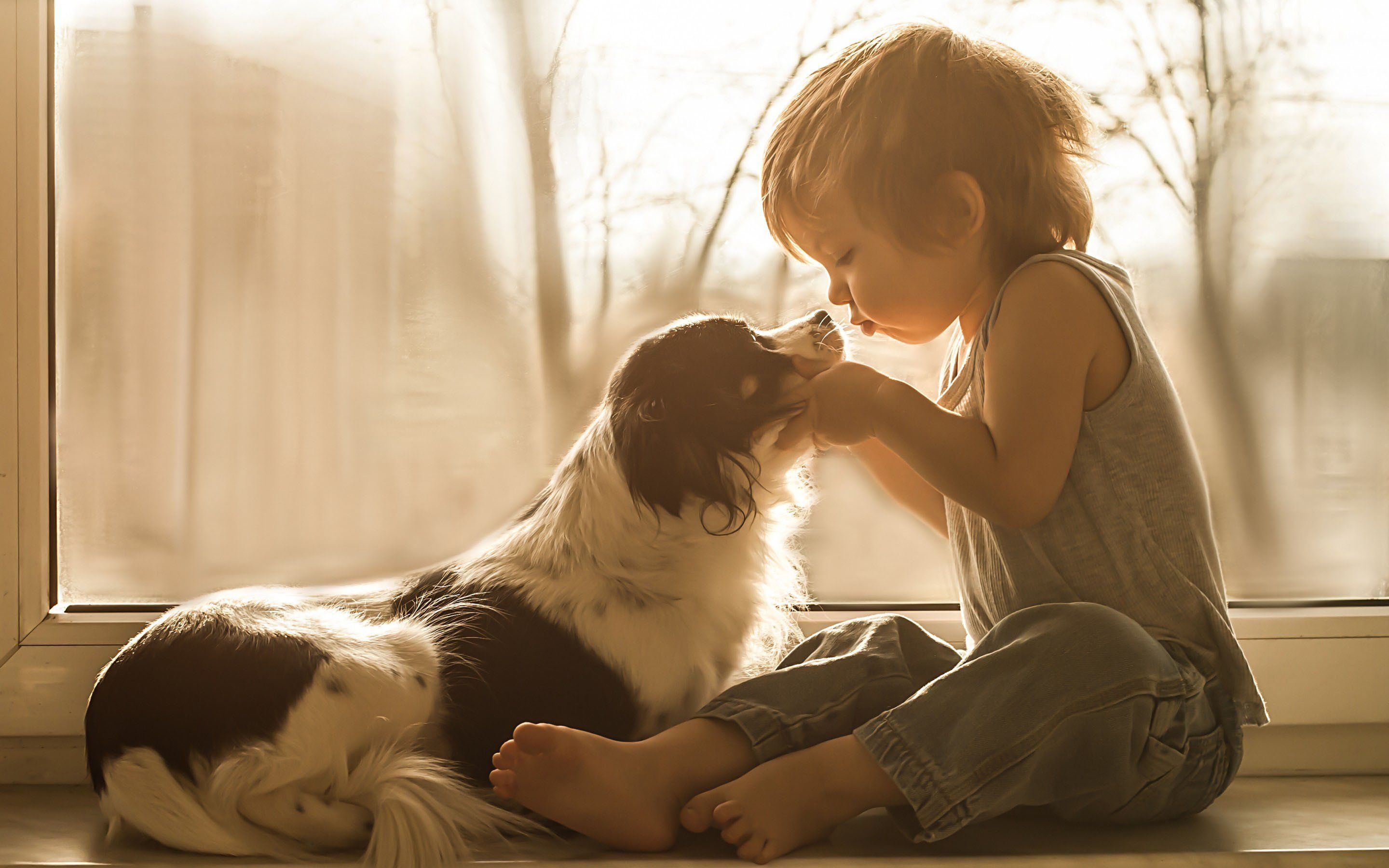 2880x1800 Children beauty beautiful angel cute love dog animal boy wallpaperx1800