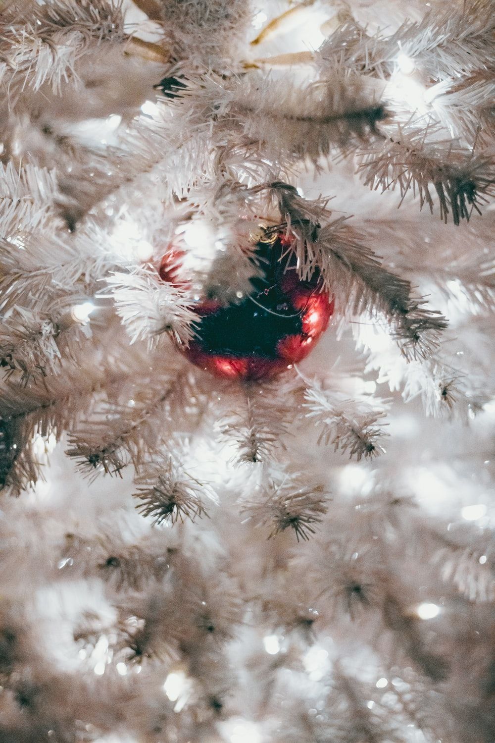 1000x1500 Red bauble on white Christmas tree photo
