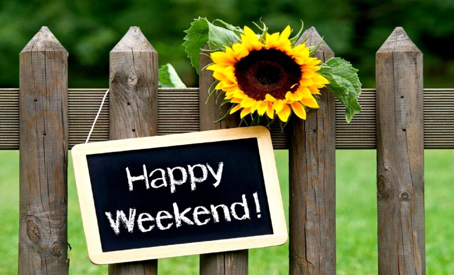 1562x948 Weekend!. Lion's Way Martial Arts