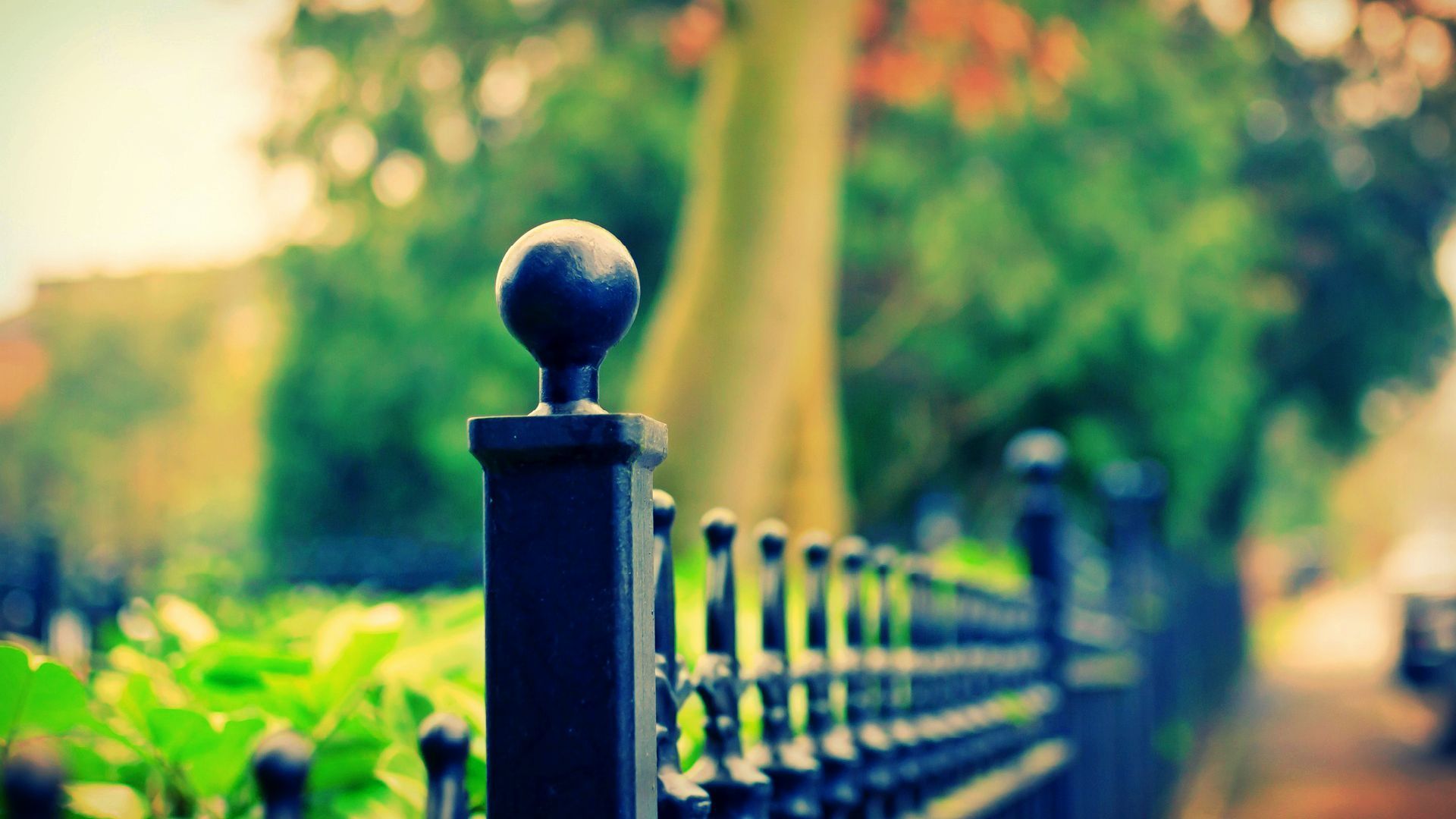 1920x1080 Cool Hd Photography Wallpaper 1080p In