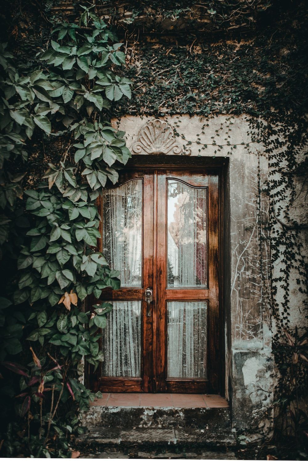 1000x1498 Magic Door Picture. Download Free Image