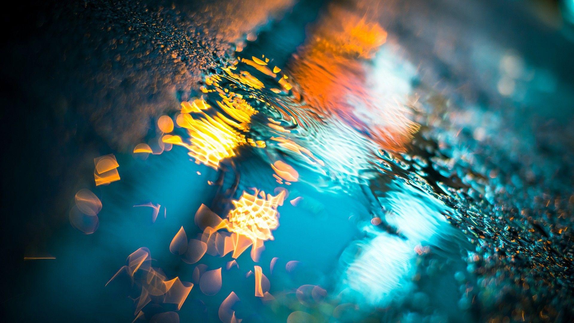 Macro Wallpapers Top Free Macro Backgrounds WallpaperAccess