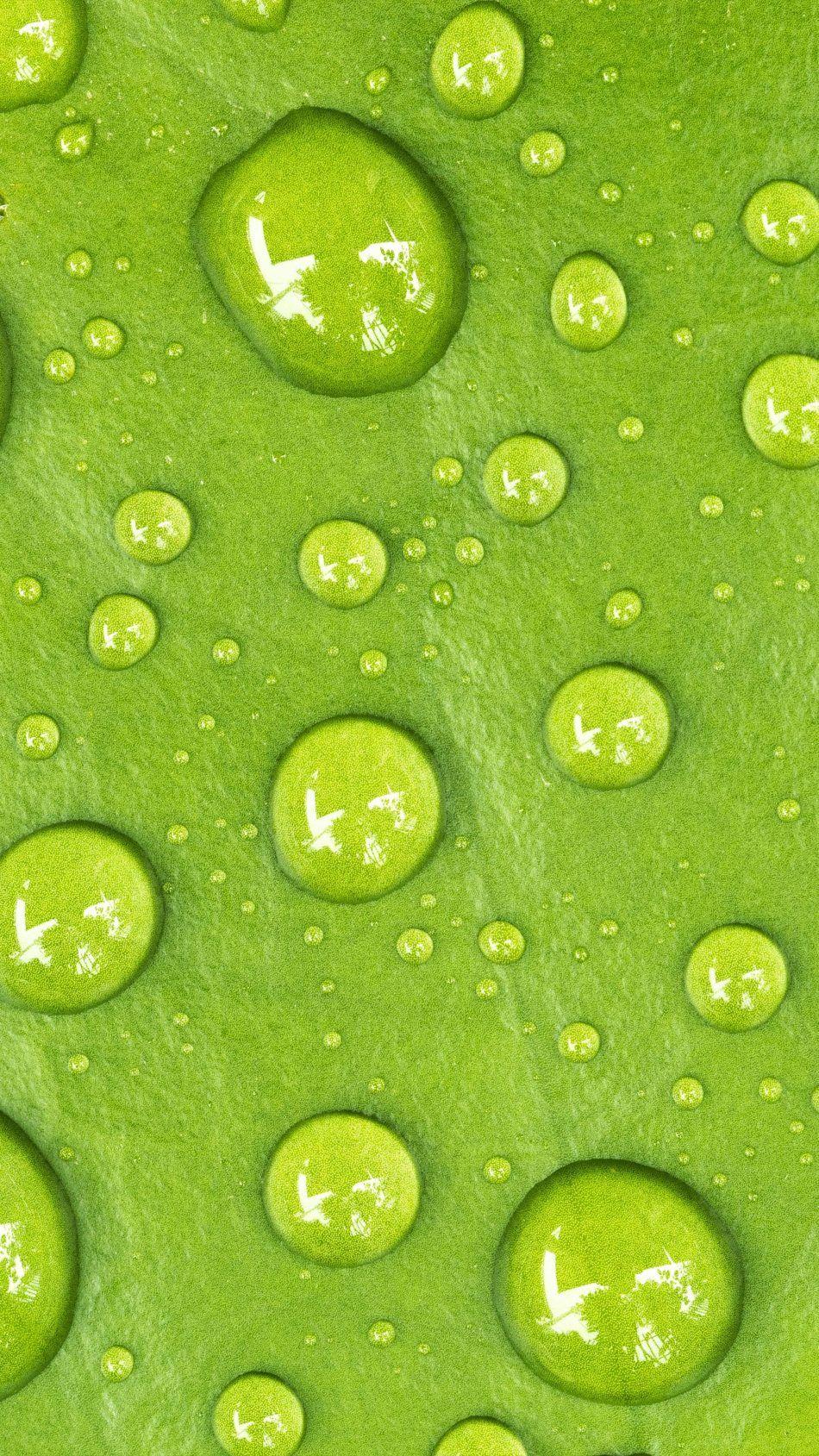 950x1689 Download Water Drop Green Macro Free Pure 4K Ultra HD Mobile Wallpaper