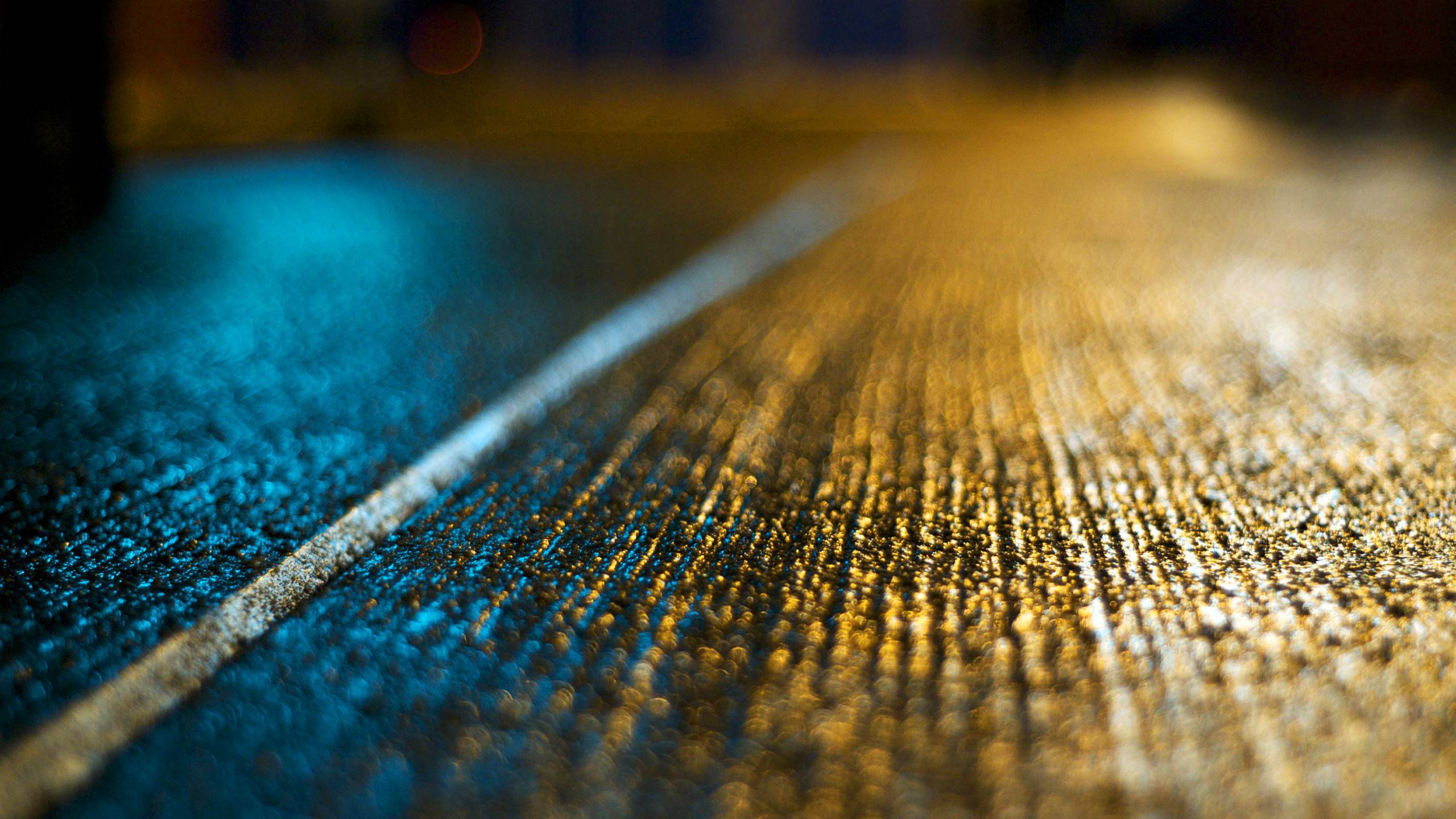 2560x1440 Macro Wallpaper Wallpaper. Download HD Wallpaper