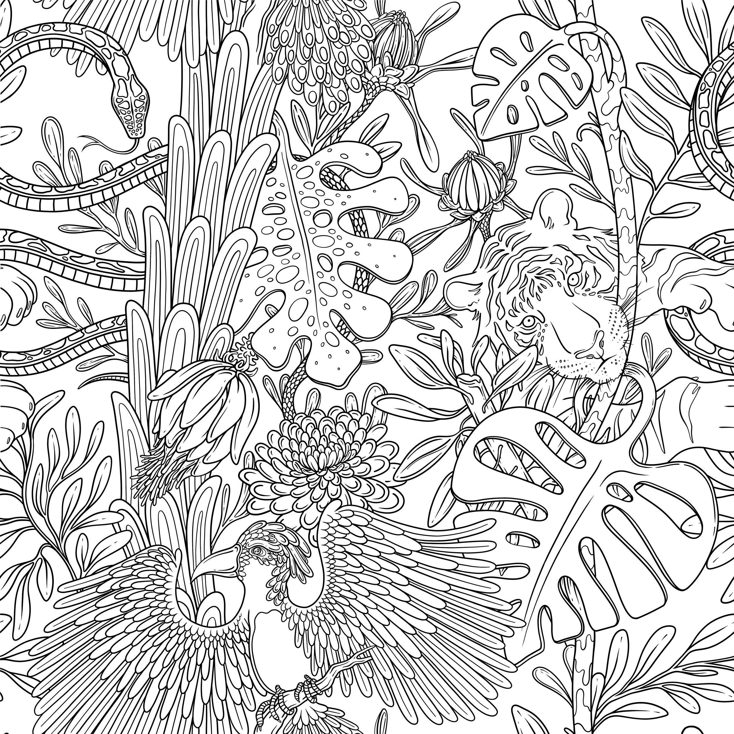 Coloring Pages Wallpapers Top Free Coloring Pages Backgrounds