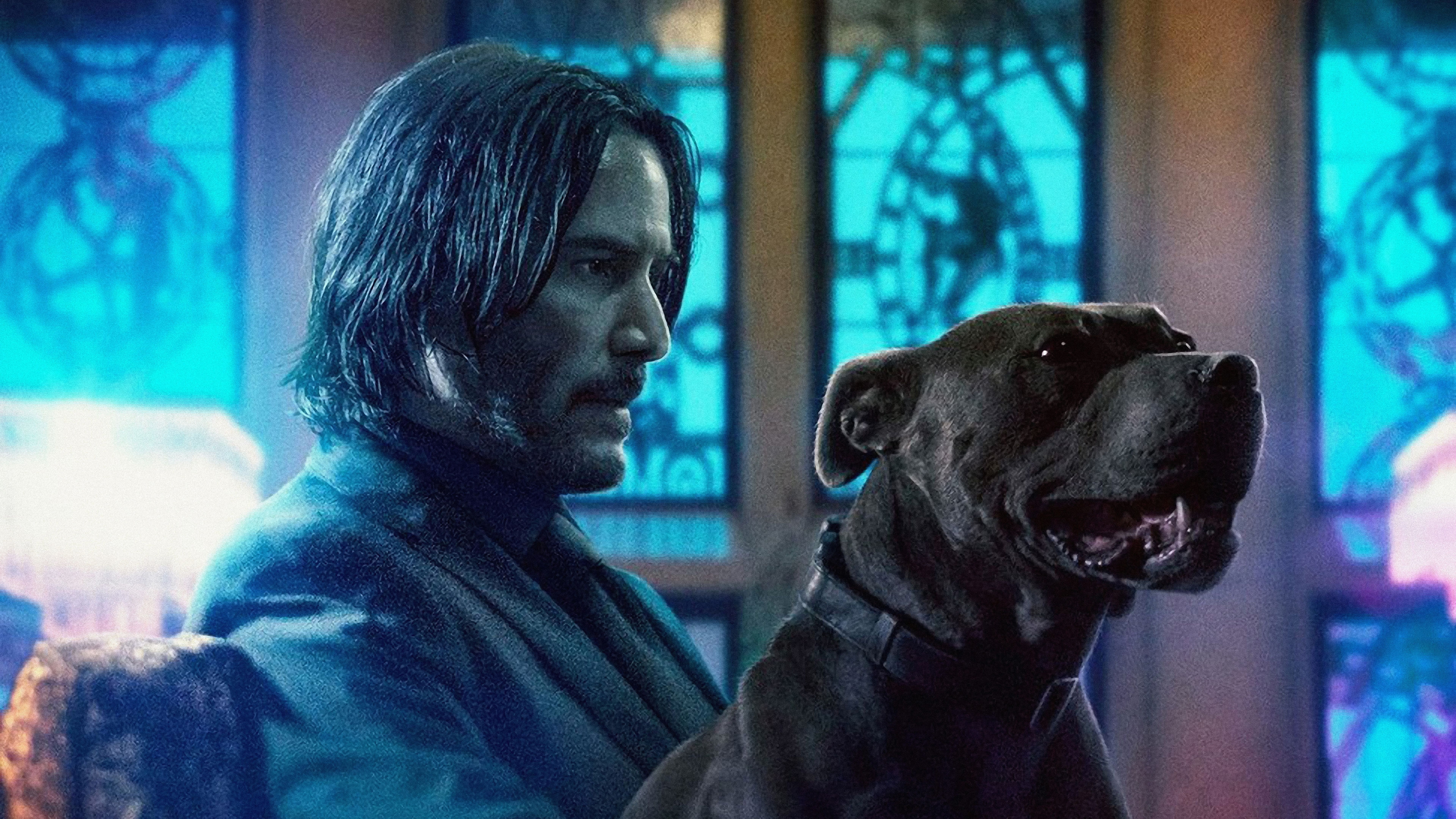 7680x4320 John Wick 3 Dog Keanu Reeves 8K Wallpaper