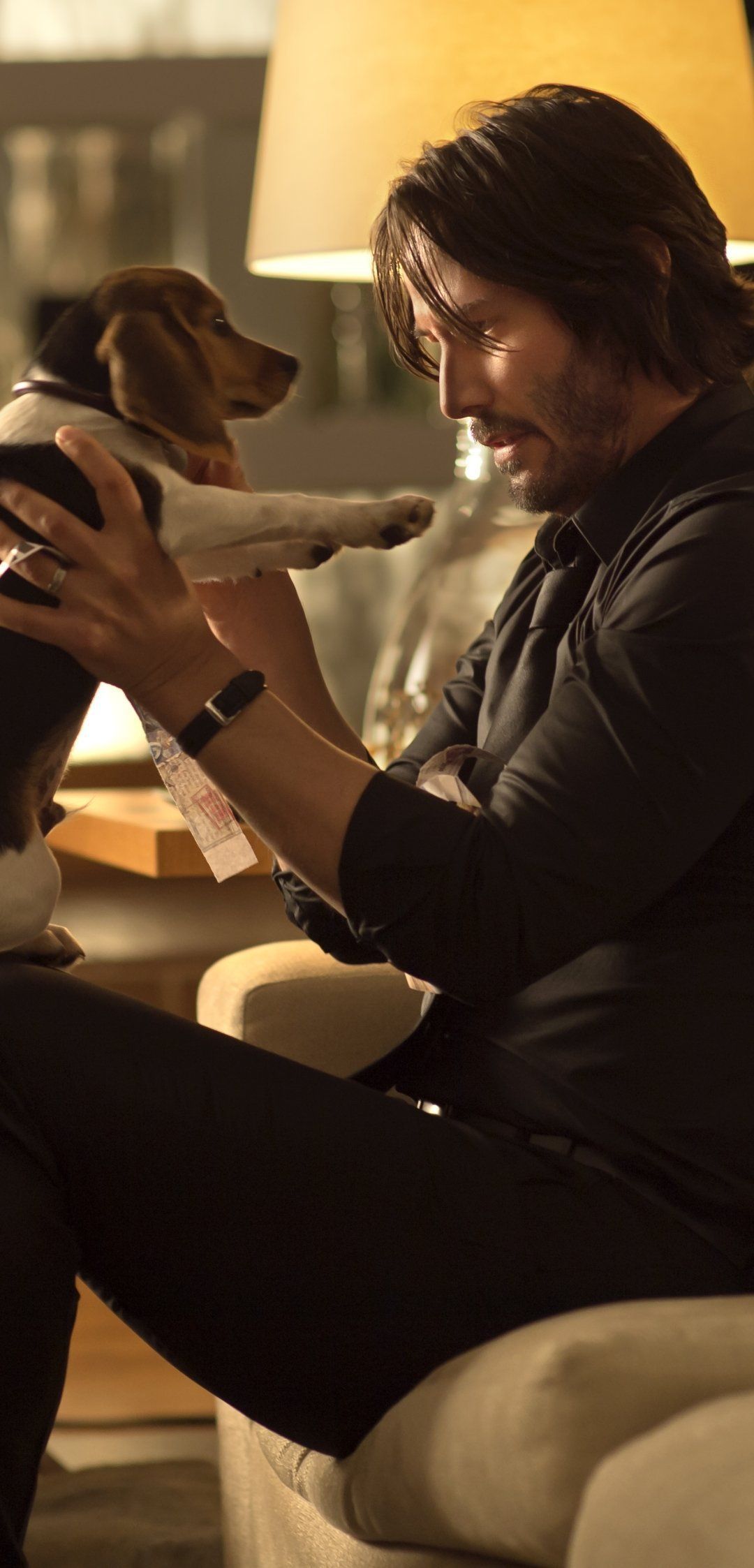 John Wick Dog Wallpapers Top Free John Wick Dog Backgrounds WallpaperAccess