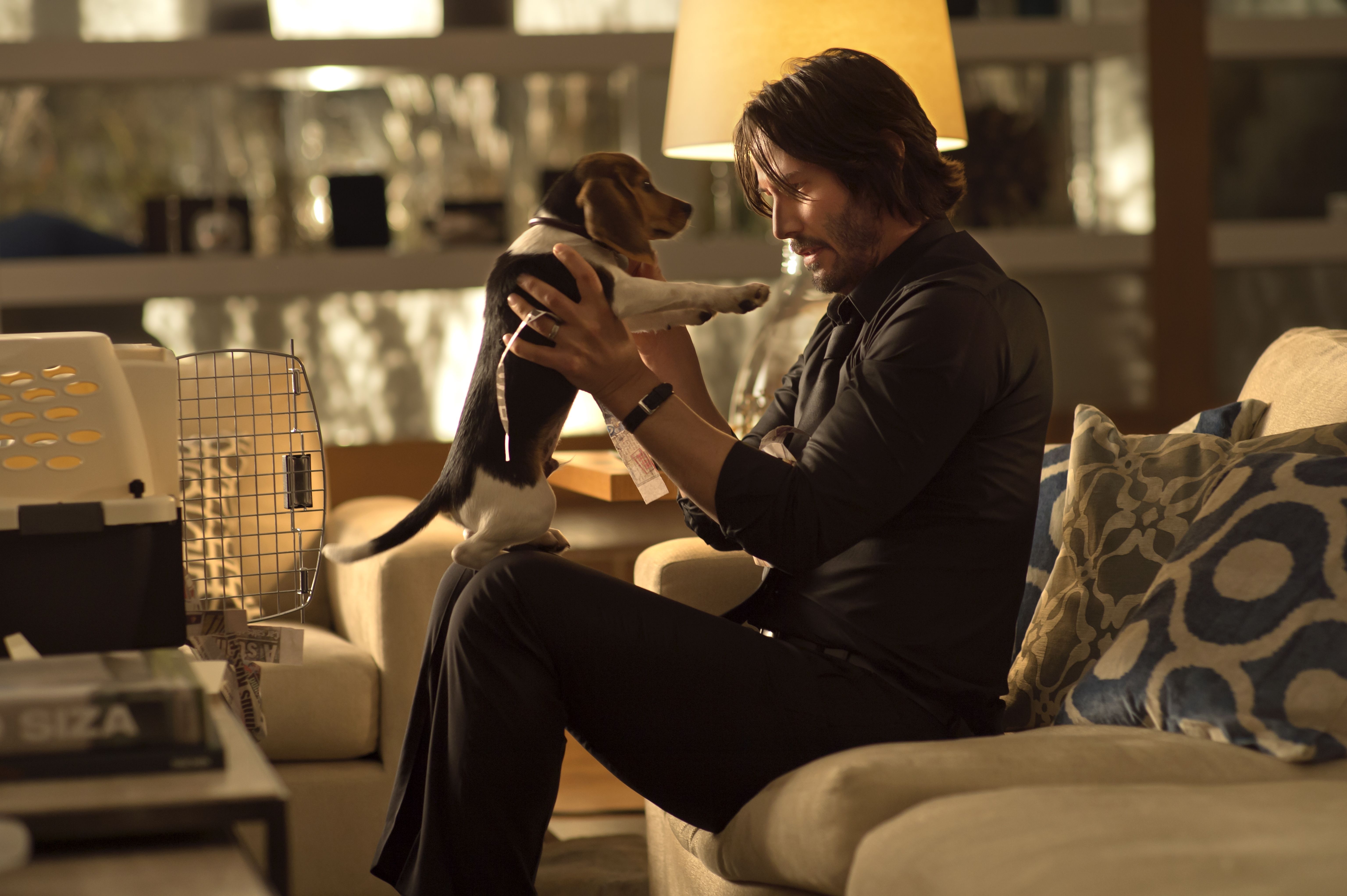 6144x4089 Movie John Wick 4k Ultra HD Wallpaper