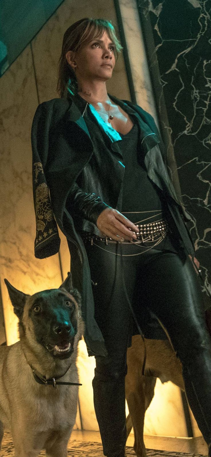 736x1594 Halle Berry with Awesome Dog HD. Halle berry, Halle, John wick
