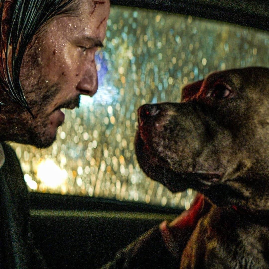 1080x1080 Movies ideas. movies, keanu reeves john wick, john wick movie