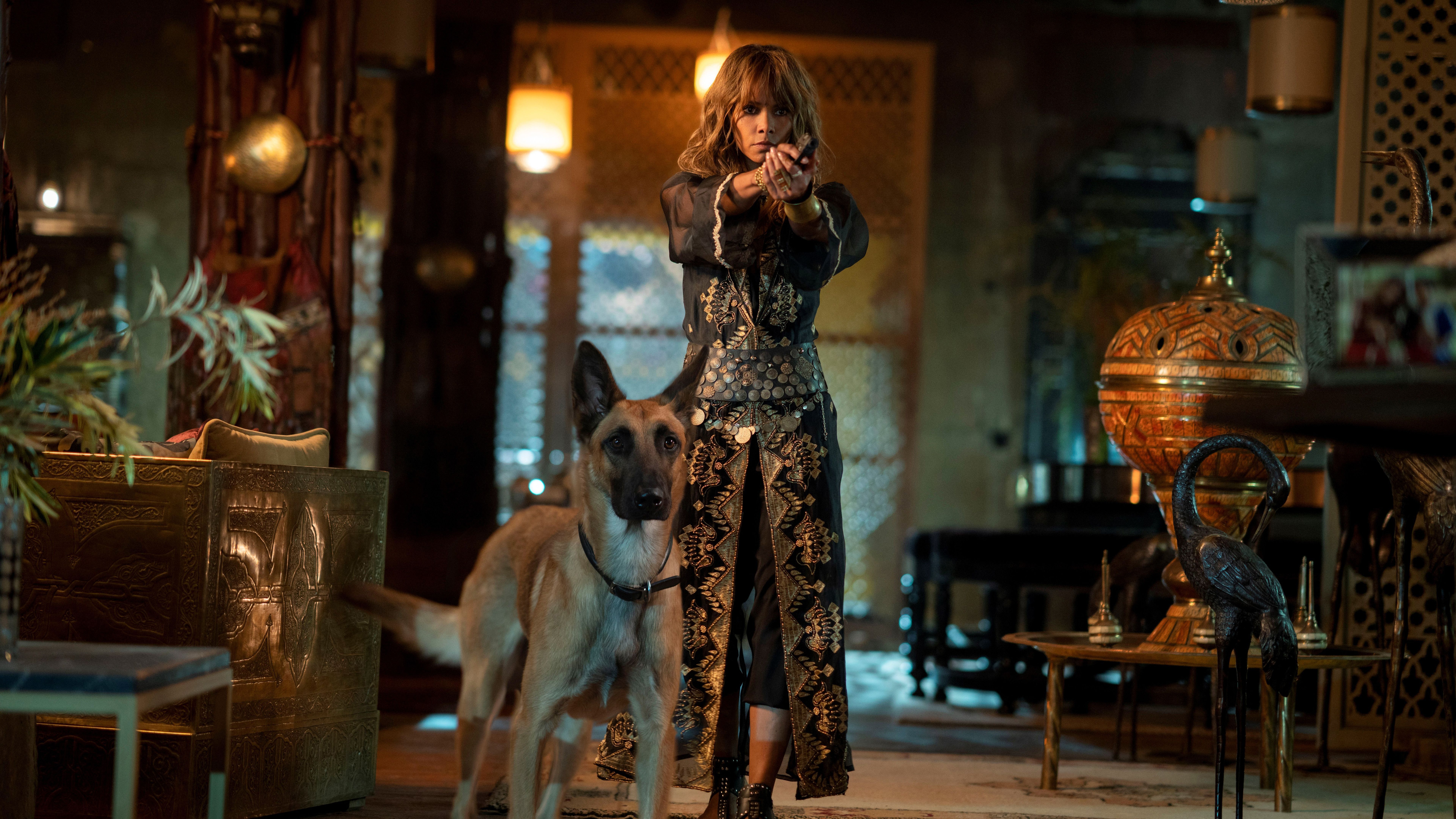 7680x4320 John Wick 3 Dog Halle Berry 8K Wallpaper