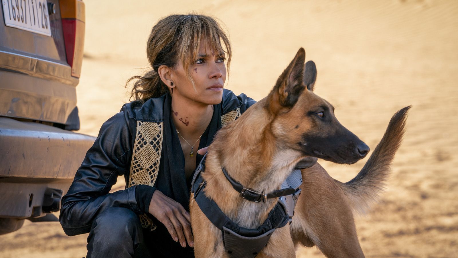 1600x900 The Surprising Cast Member Who Trained The Dogs In John Wick: Parabellum