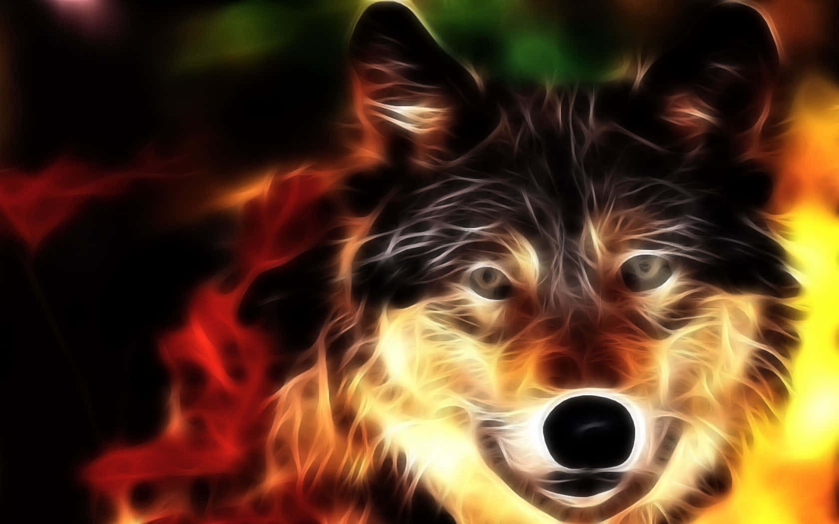 1680x1050 Download Super Cool Wolf Orange Glow Wallpaper