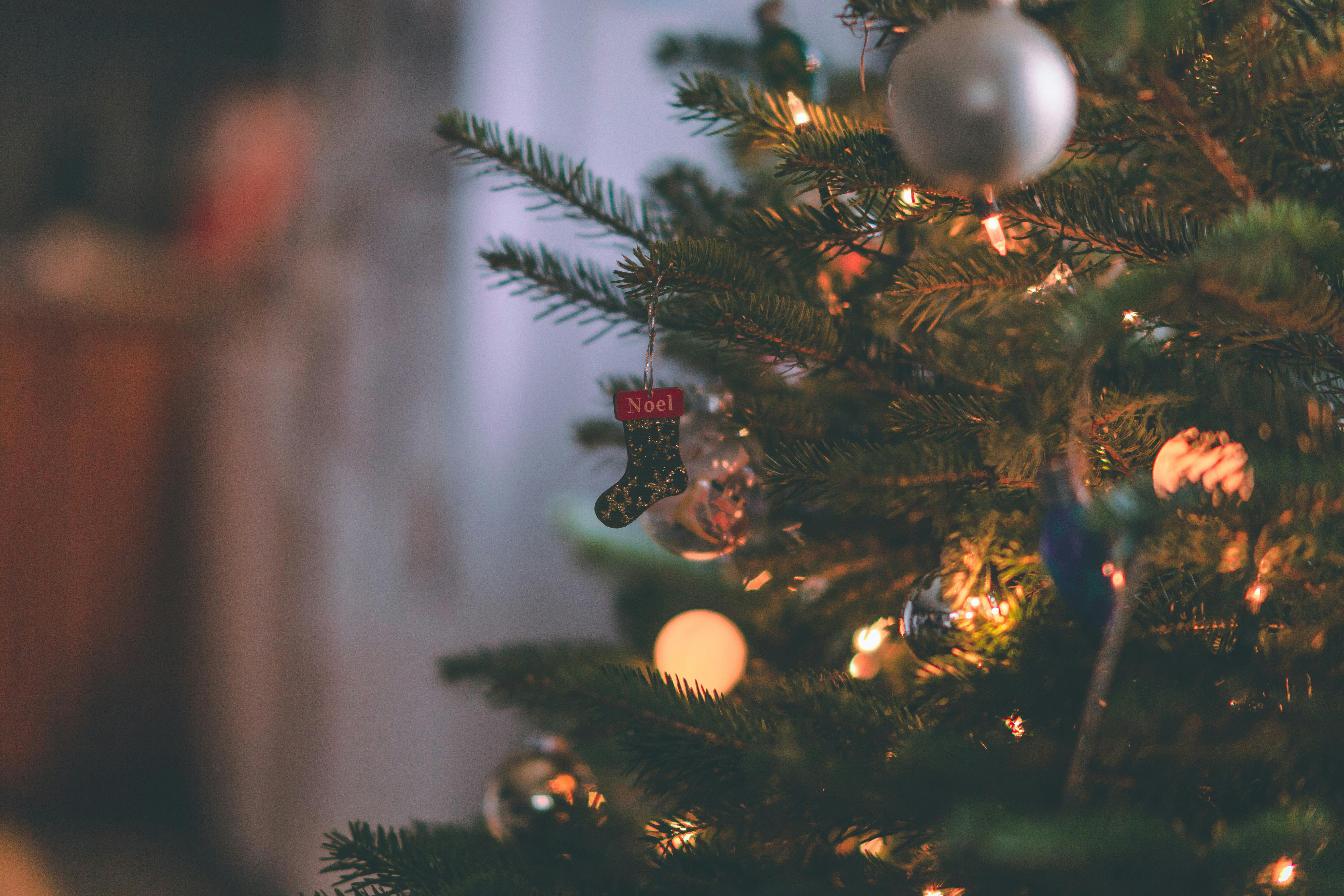 5472x3648 Seasons Greetings Photo, Download The BEST Free Seasons Greetings & HD Image
