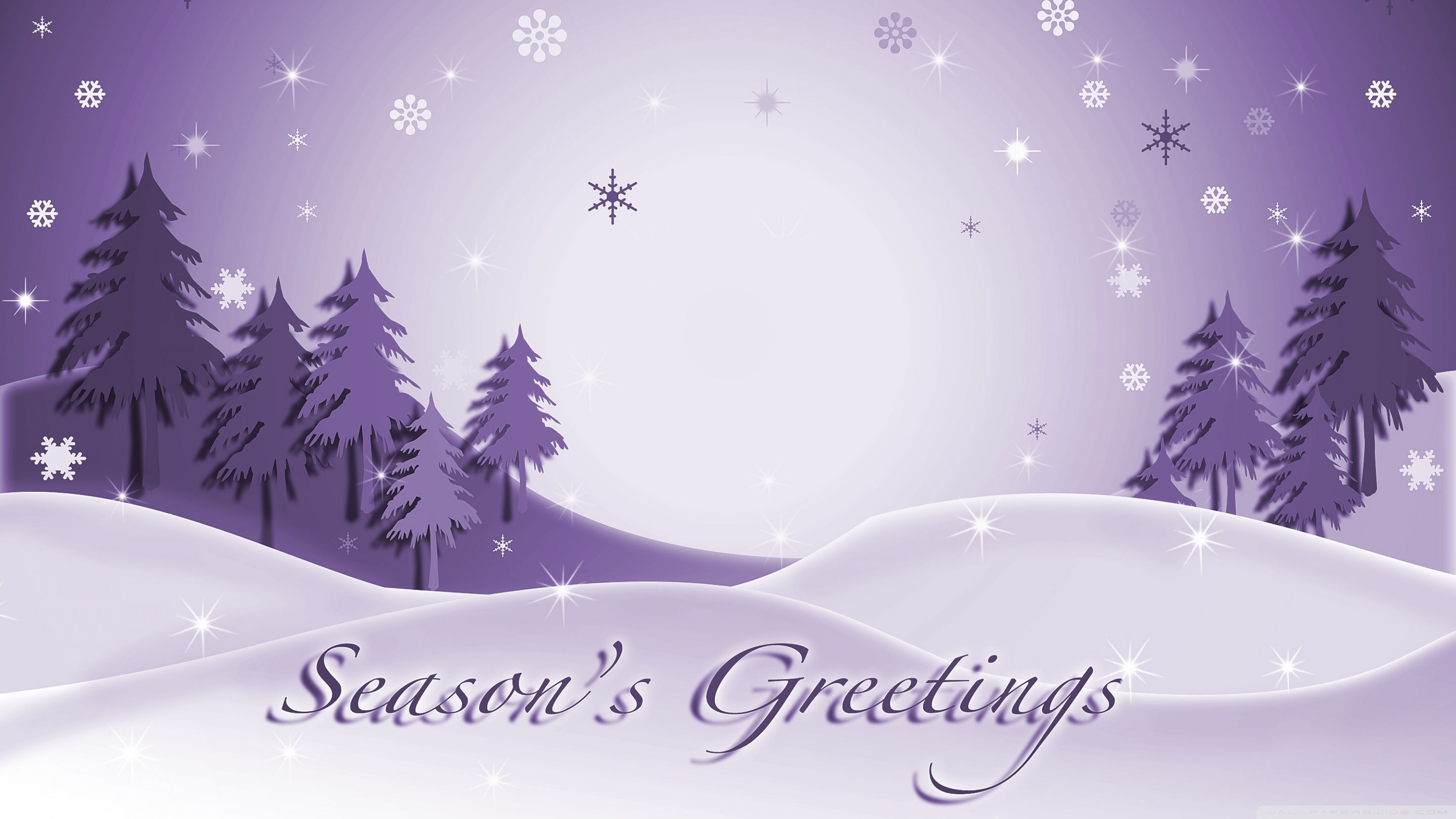 2880x1620 Season's Greetings Firs Ultra HD Desktop Background Wallpaper for 4K UHD TV : Widescreen & UltraWide Desktop & Laptop
