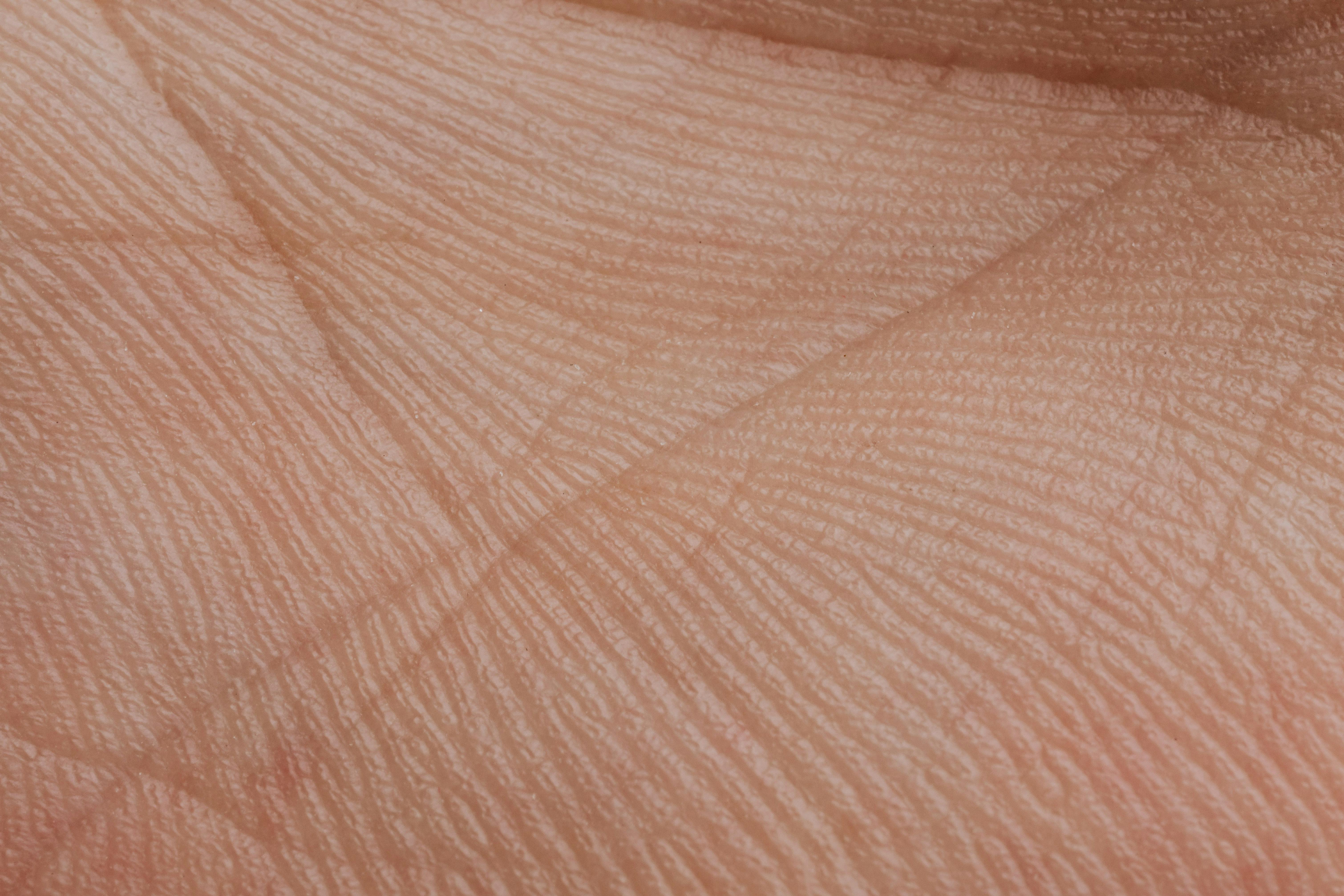 6040x4027 Close Up View Of Human Palm · Free