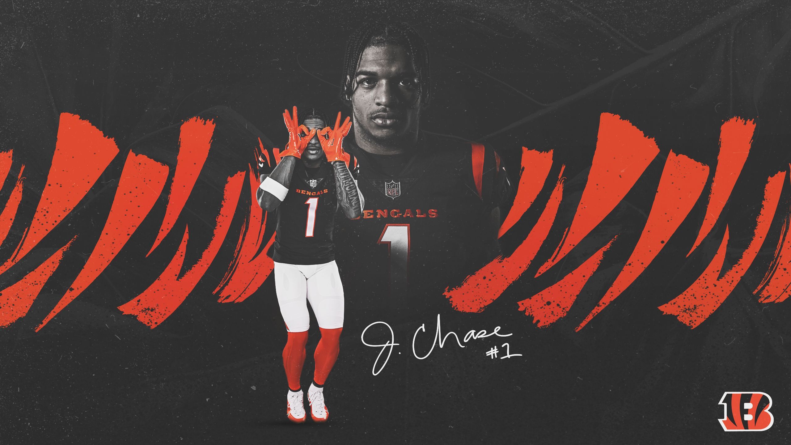 2560x1440 Bengals Wallpaper