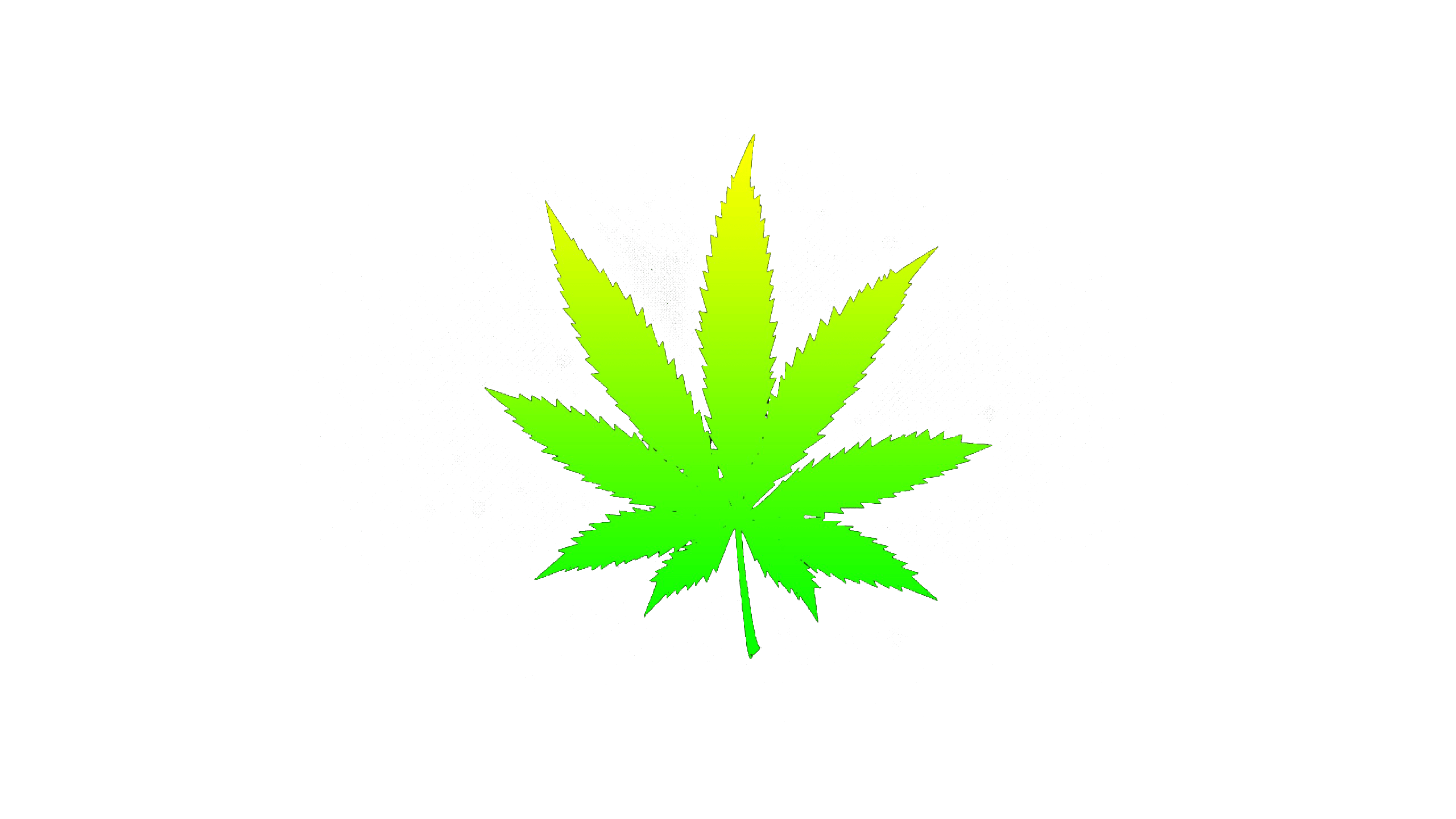 2560x1440 Reggae Visuals