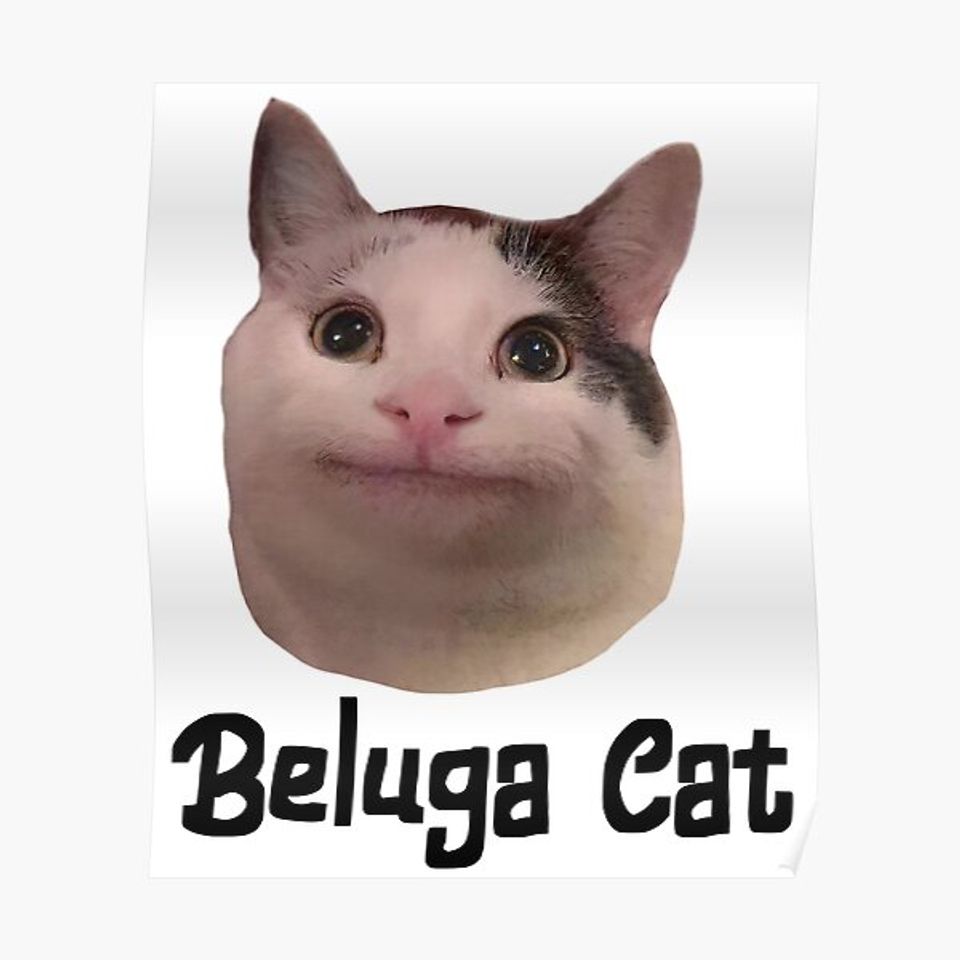 960x960 beluga cat discord pfp Premium Matte Vertical Poster sold by Ryan Cioffi crpc