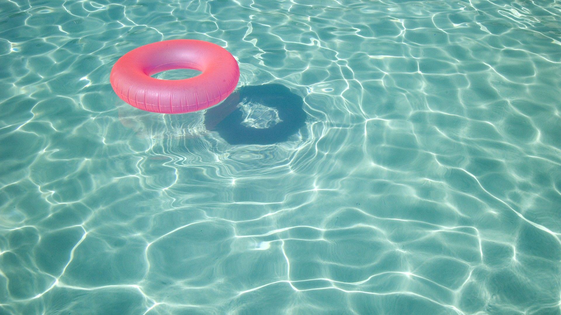10 Fun  Interesting Facts About Swimming  Kingswim