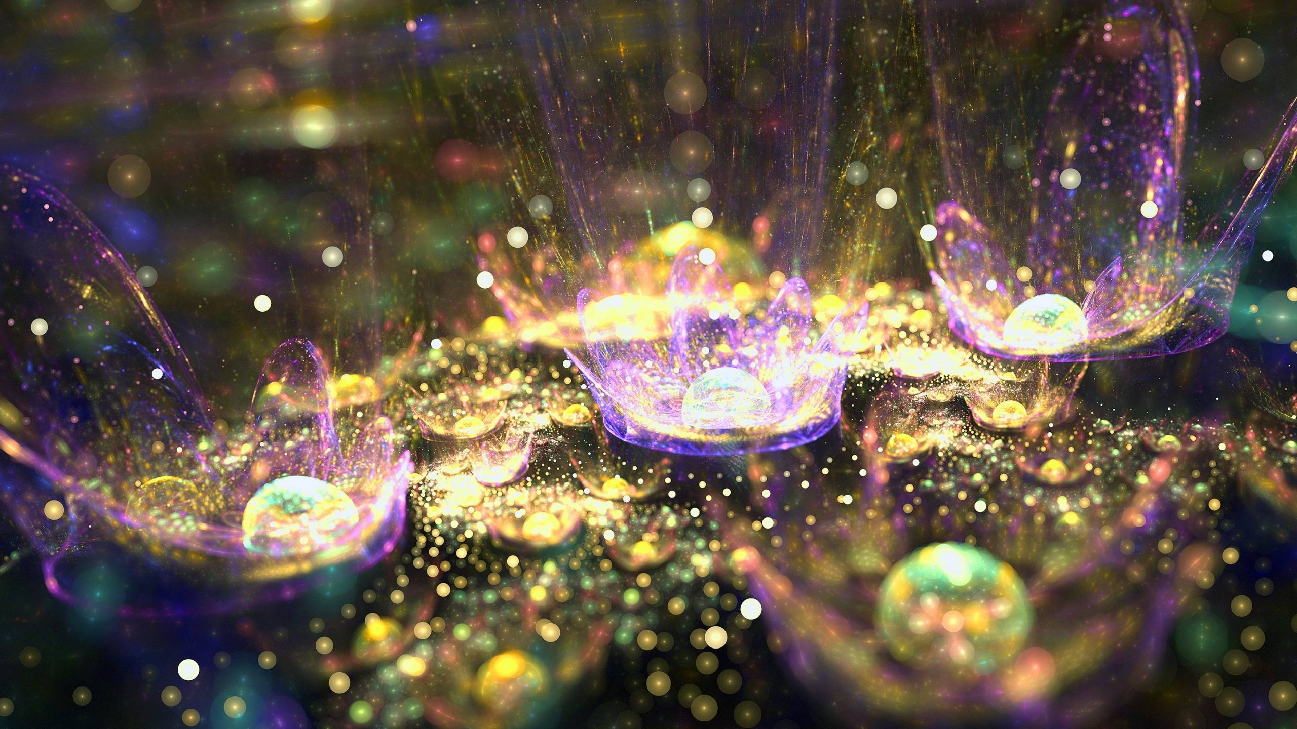 2560x1440 Sparkle Wallpaper HD , free download, (58)-