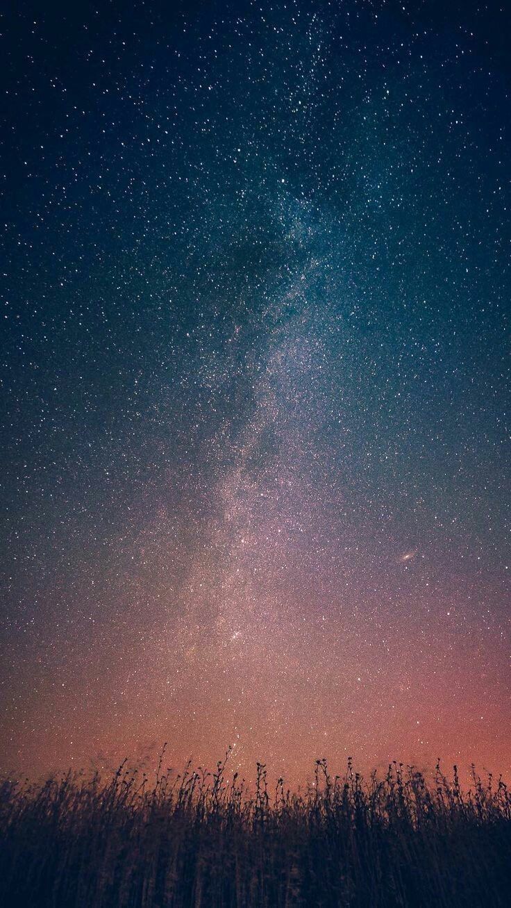 736x1307 follow back. on X: Astrophile (n.) a person who loves stars, astronomy / X