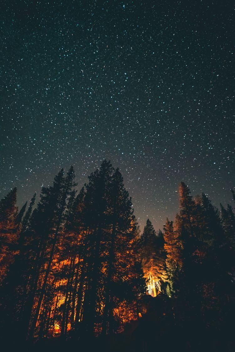 750x1123 follow back. on X: Astrophile (n.) a person who loves stars, astronomy / X