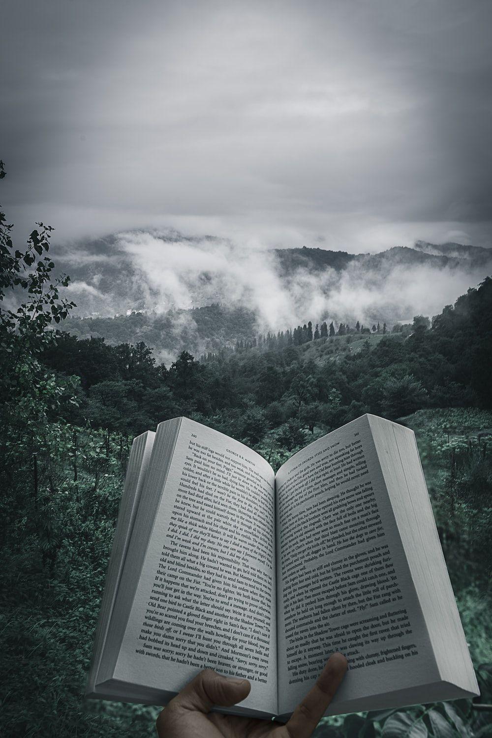 1000x1498 Book Picture [HQ]. Download Free Image