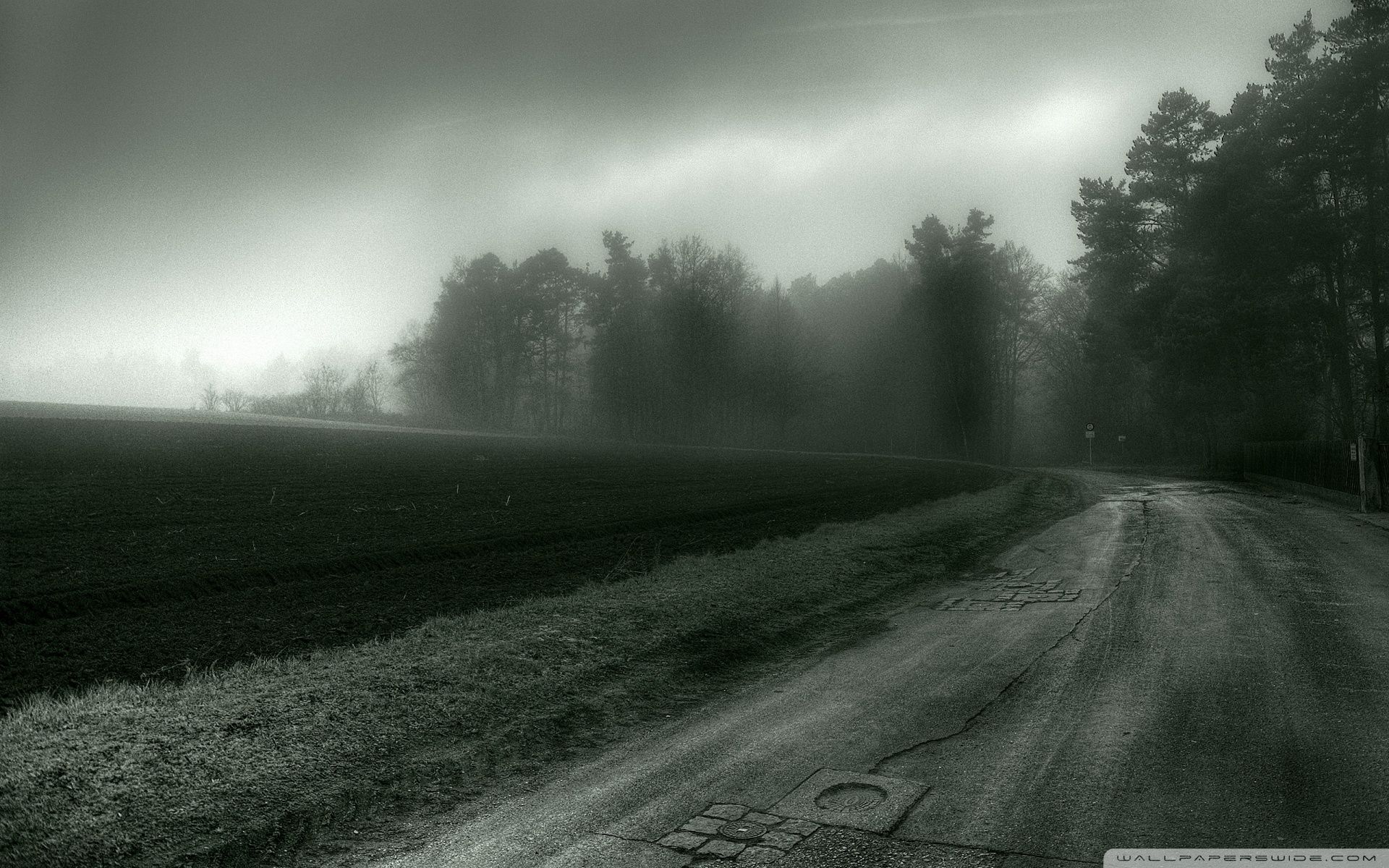 1920x1200 Foggy Country Road Ultra HD Desktop Background Wallpaper for 4K UHD TV : Multi Display, Dual Monitor : Tablet