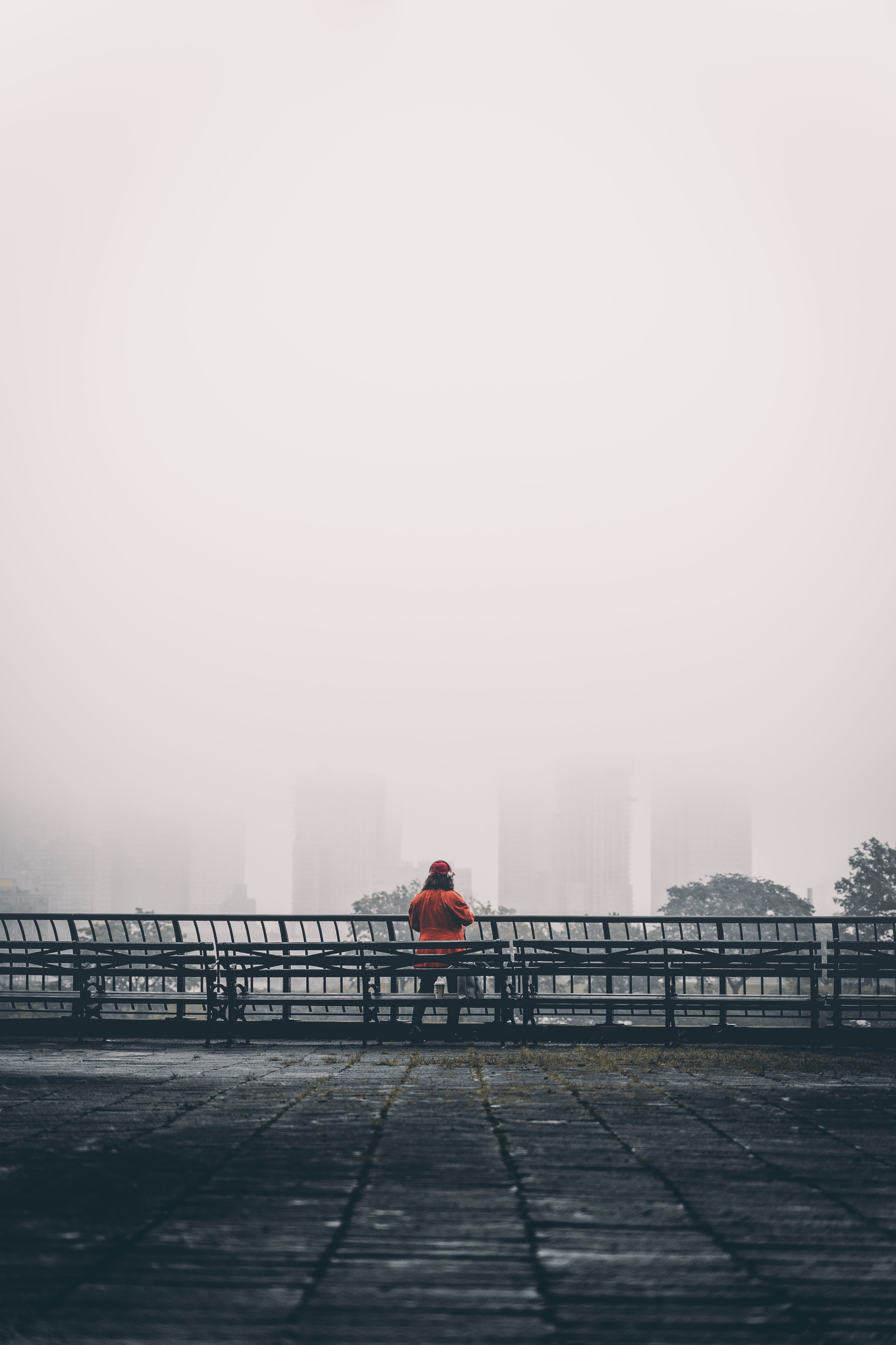 3999x5998 High Res Looking At A Foggy City Picture