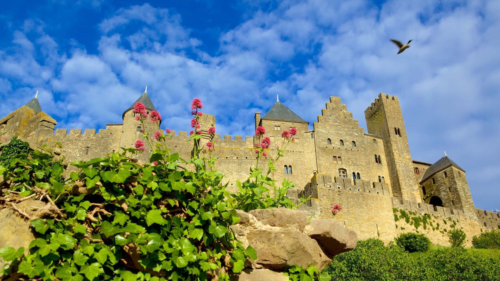 1920x1080 Carcassonne Wallpaper