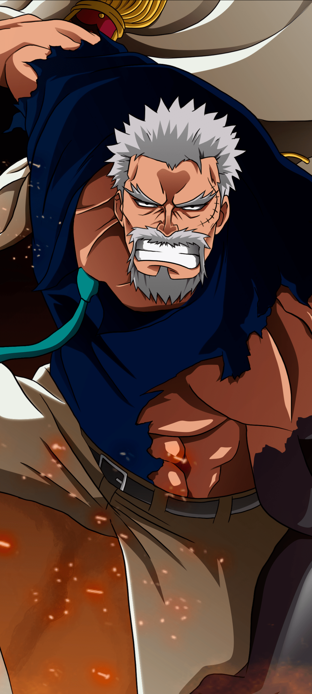 1080x2400 Monkey D. Garp