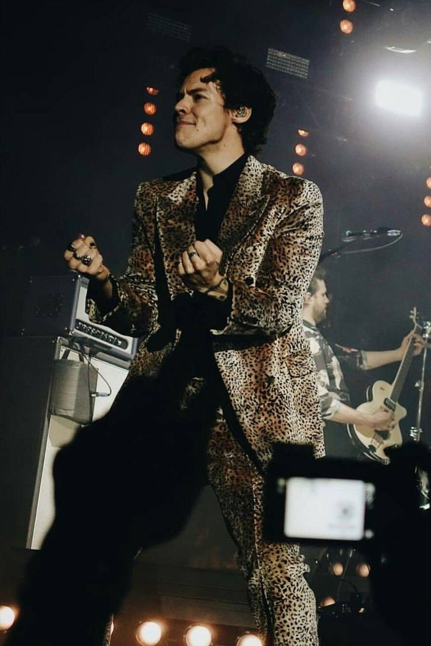 855x1280 Harry Styles Tour Wallpaper