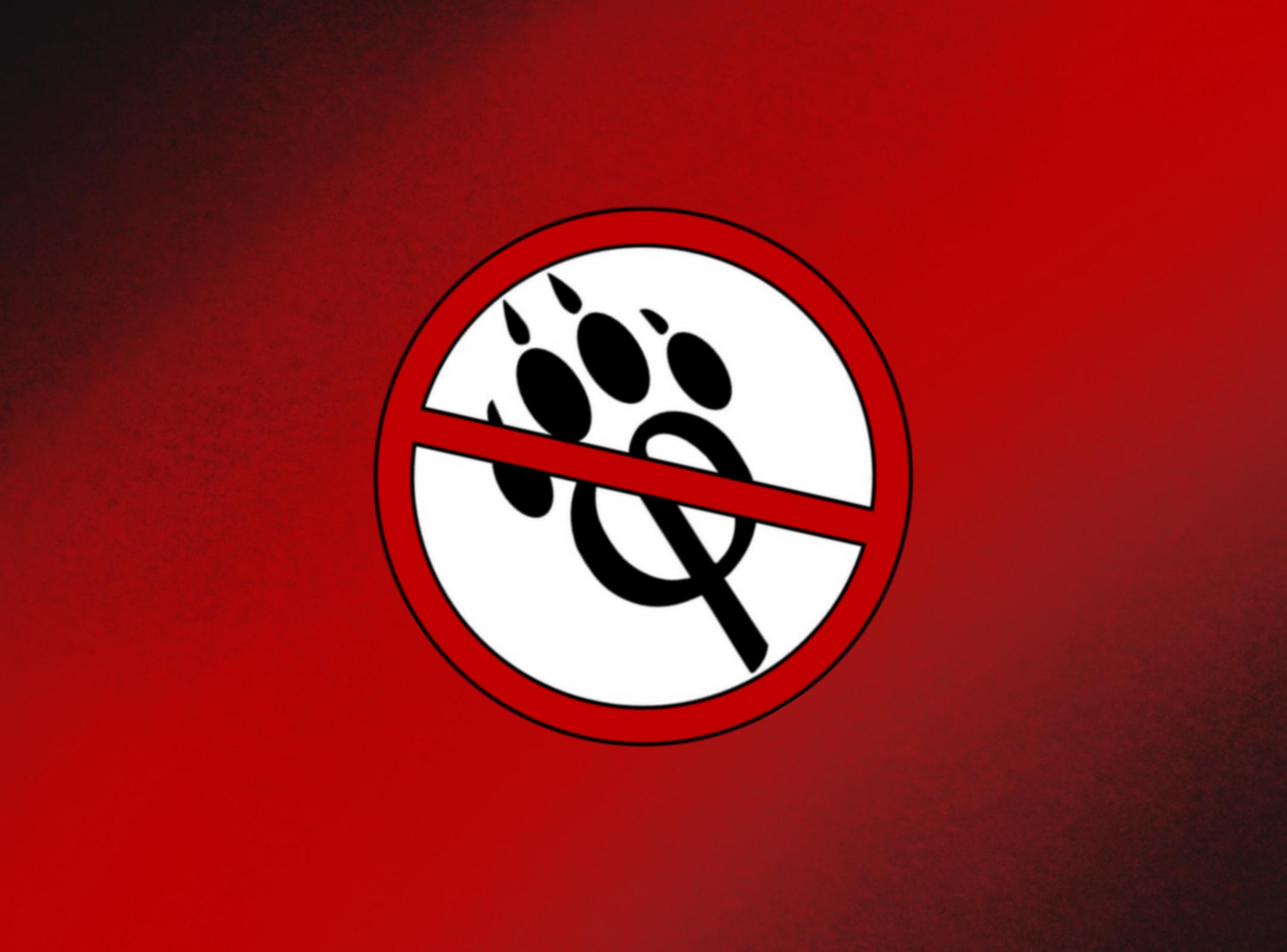 Anti Furry Wallpapers - Top Free Anti Furry Backgrounds - WallpaperAccess