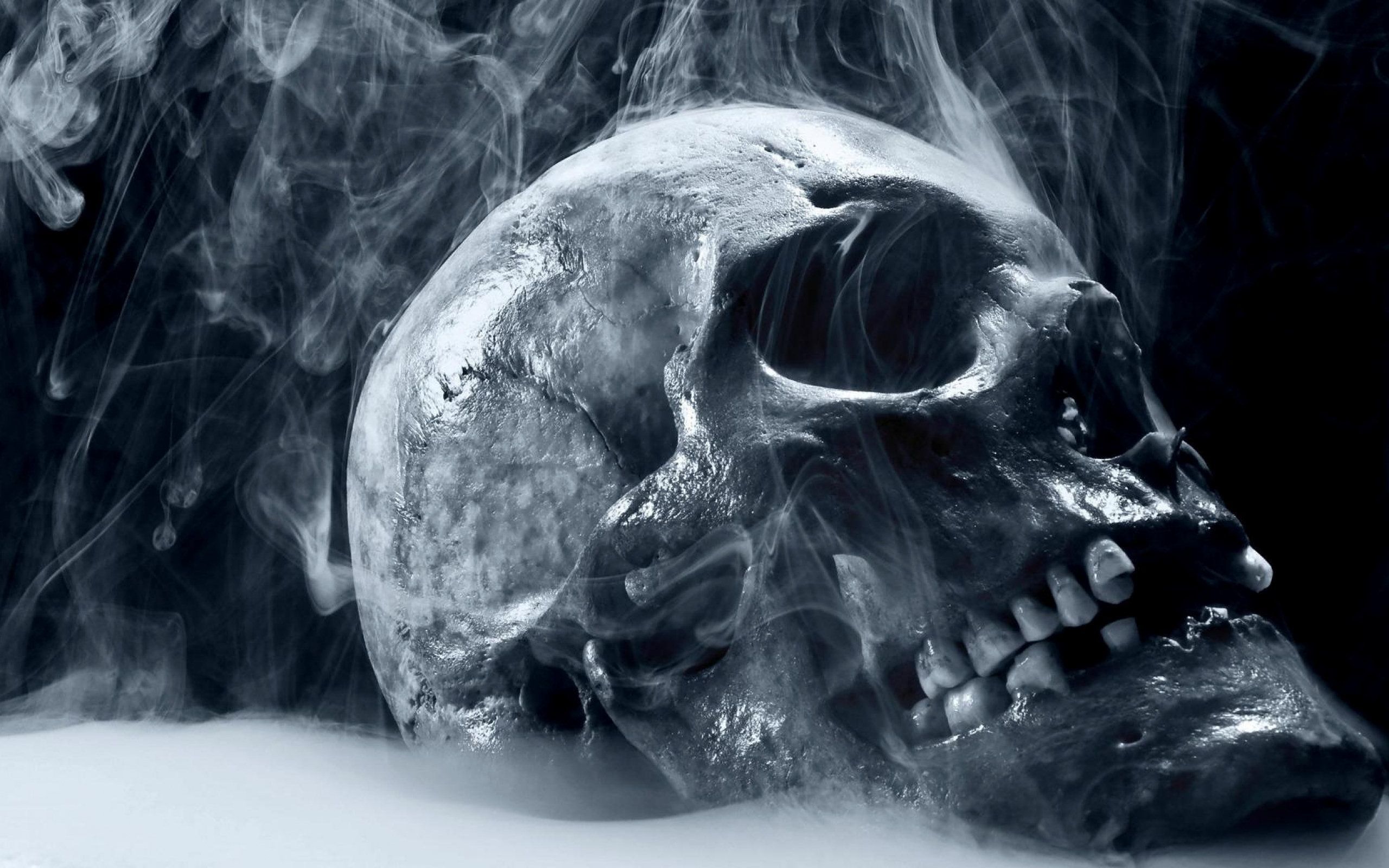 2560x1600 Download Skull wallpaper for mobile phone, free Skull HD picture