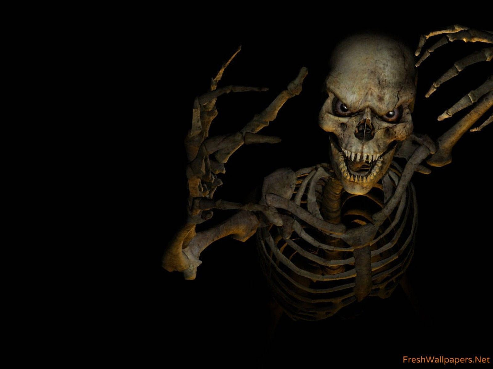 1600x1200 Skeleton Wallpaper