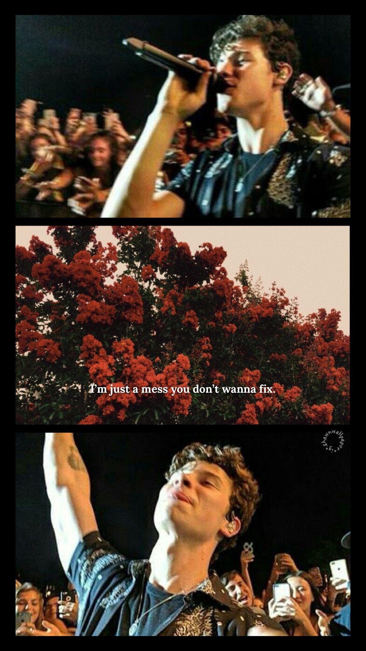 1242x2208 Shawn Mendes Wallpaper background picture