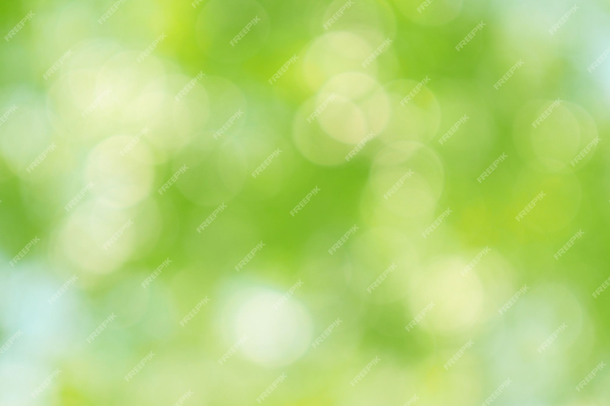 2000x1333 Premium Photo. Beautiful green bokeh of tree leaves nature out of focus background