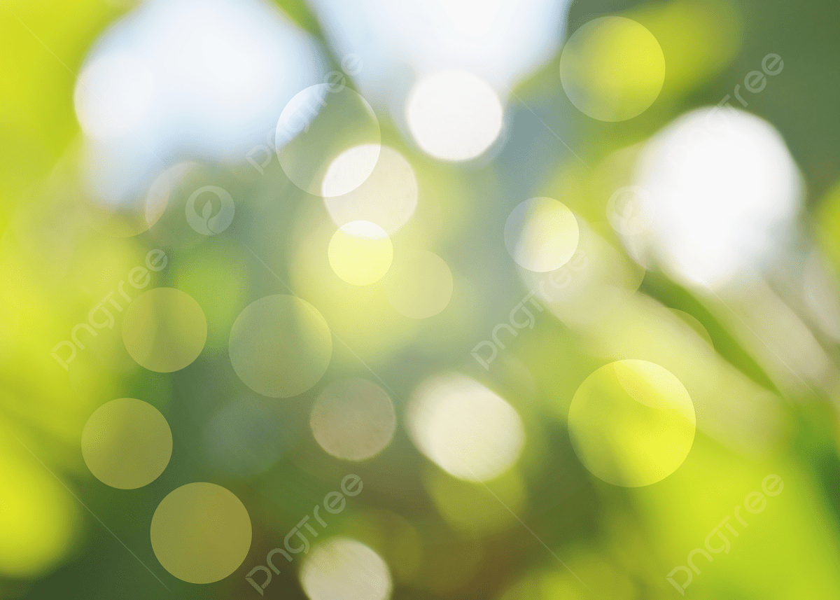 1200x857 Natural Light Green Blur Bokeh Background For Text, Natural Light Green, Bokeh, Background For Text Background Image And Wallpaper for Free Download