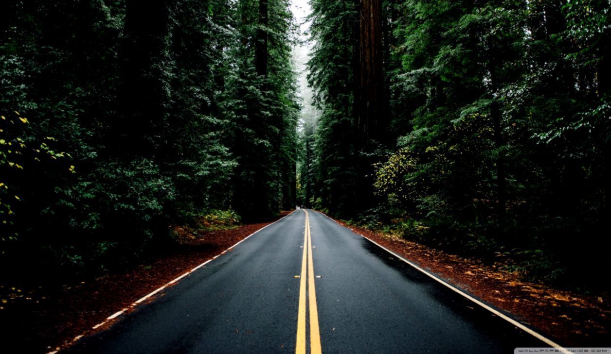 1256x729 Free download Beautiful Natural Straight Road Wallpaper HD Nice Wallpaper [1256x729] for your Desktop, Mobile & Tablet. Explore Beautiful Road Wallpaper. Road Biking Wallpaper, Road Cycling Wallpaper, HD Road Wallpaper