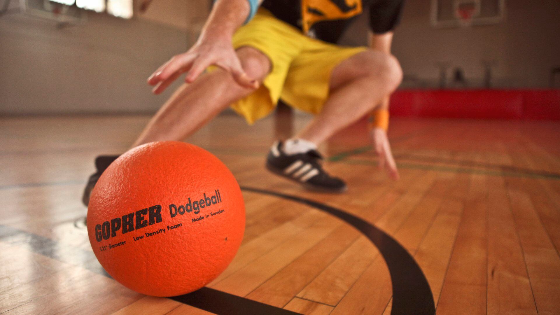 1920x1080 Researchers argue dodgeball is a tool of 'oppression' that 'dehumanizes' others