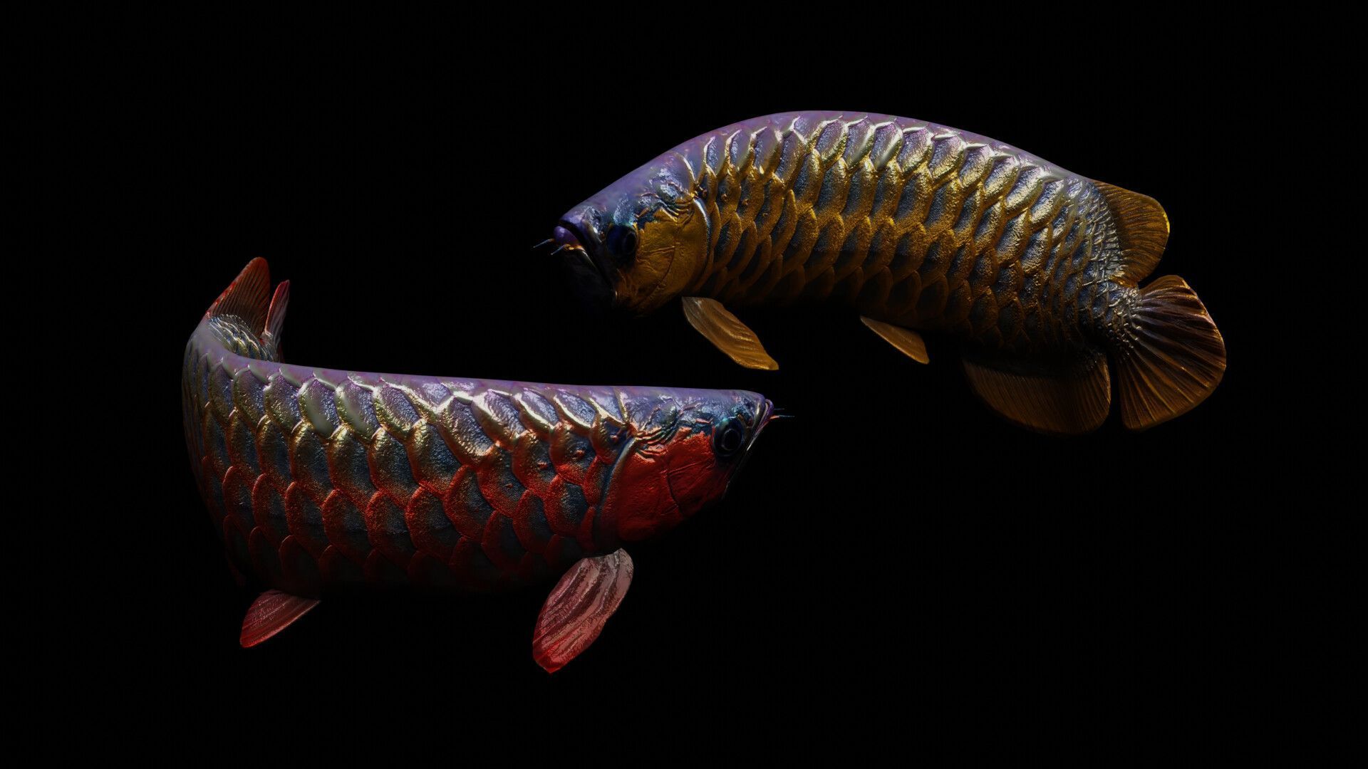 1920x1080 Huy Khôi dragon fish