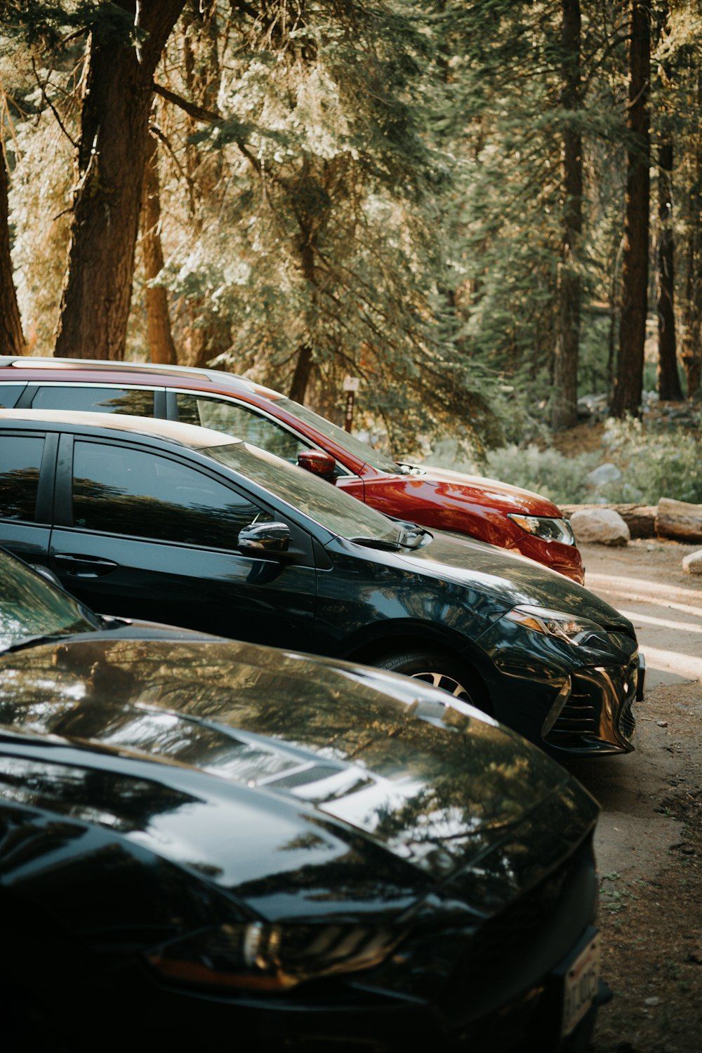 1000x1500 A group of cars parked in a wooded area photo